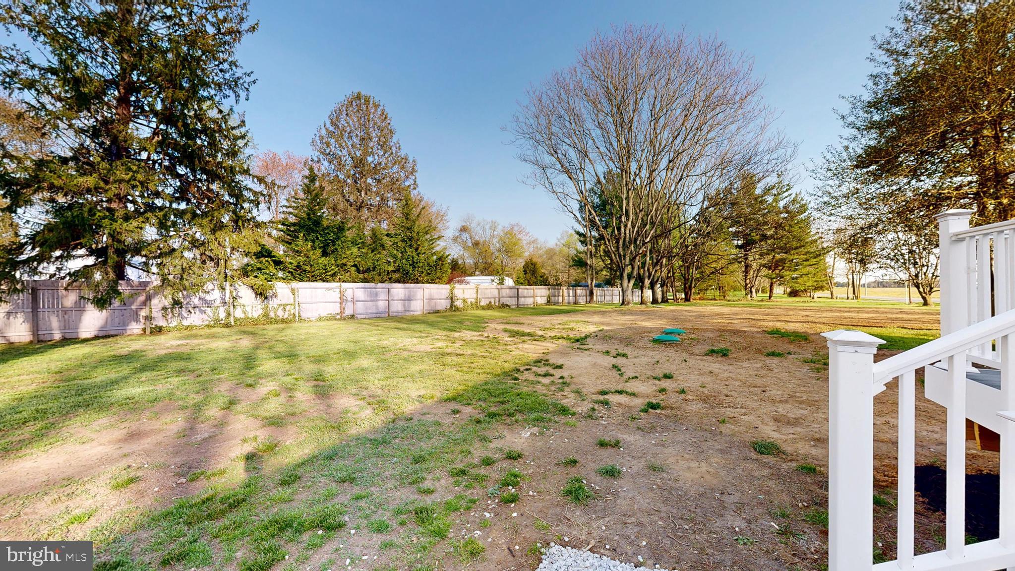 3318 Underwoods Corner Road Clayton, DE 19938 - Photo 44 of 54 a view of yard with trees