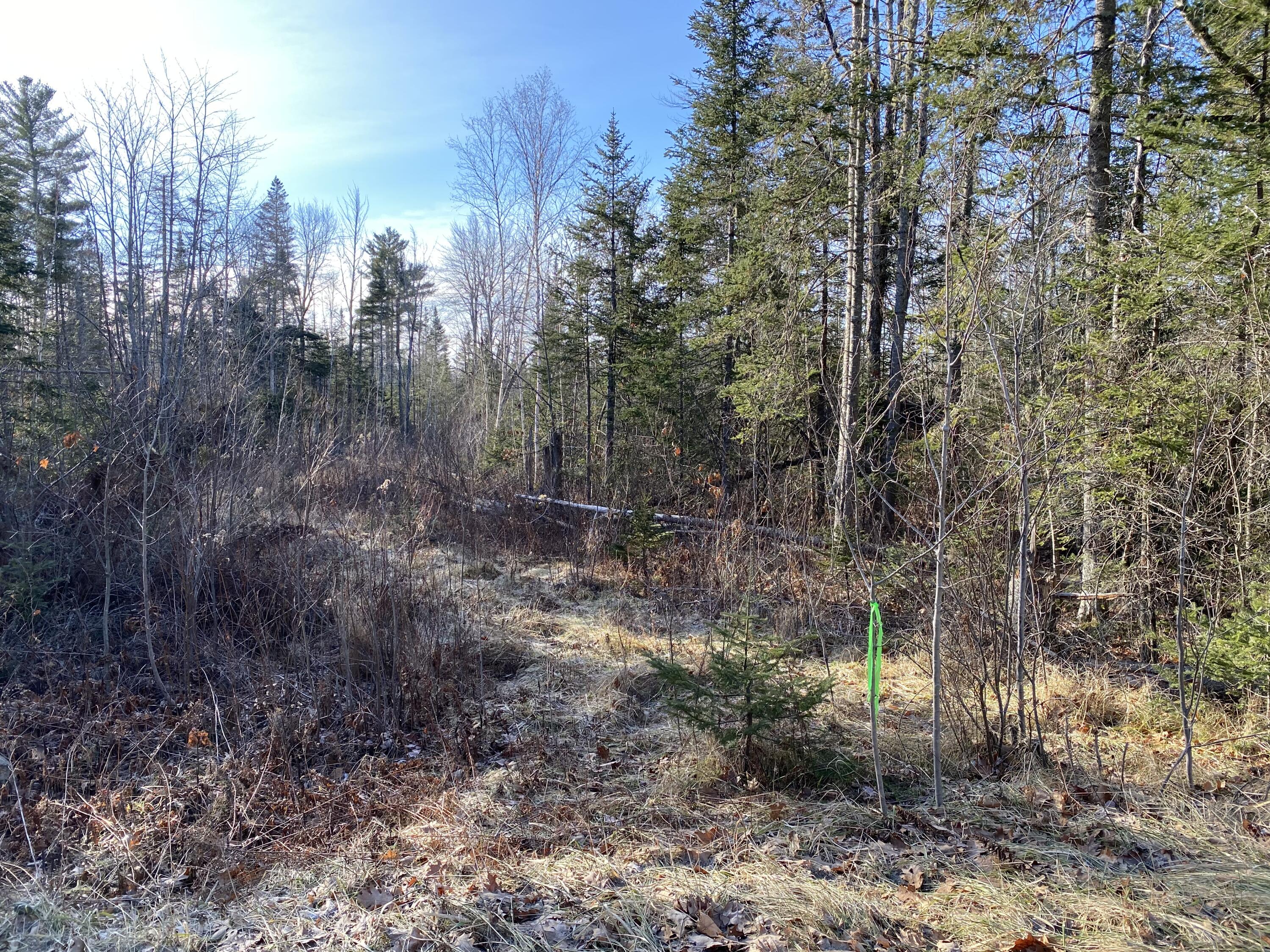 Lot 5 Goshen Road Winterport, ME 04496 - Photo 2 of 5 58E86D0F-4A96-4D9B-B855-D9A728B28786