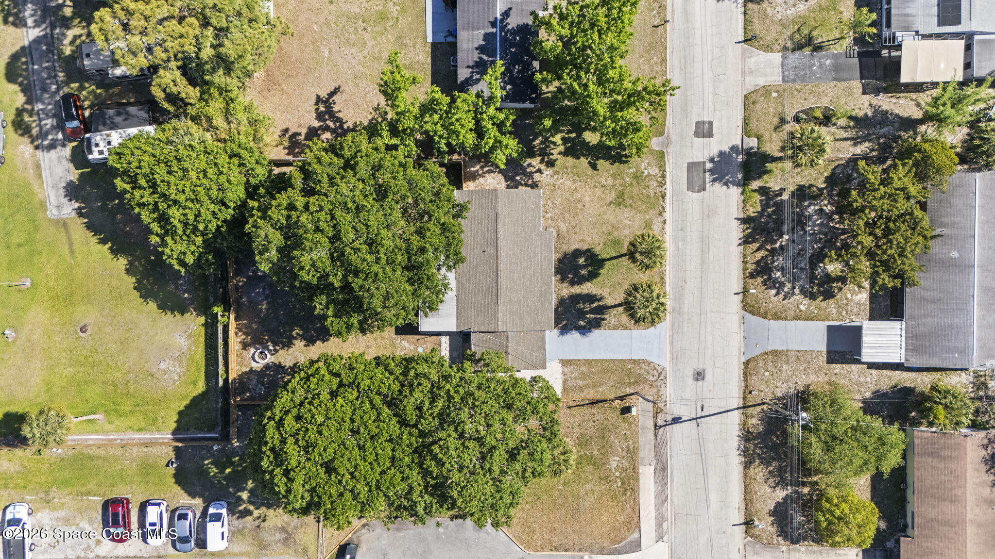 4665 Tuscarora Road Titusville, FL 32780 - Photo 33 of 34 a picture of plants