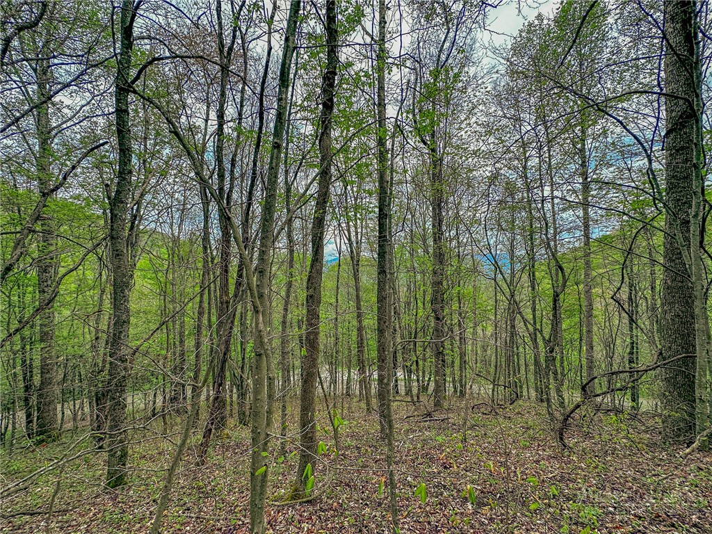 Silverleaf Road Zionville, NC 28698 - Photo 19 of 25