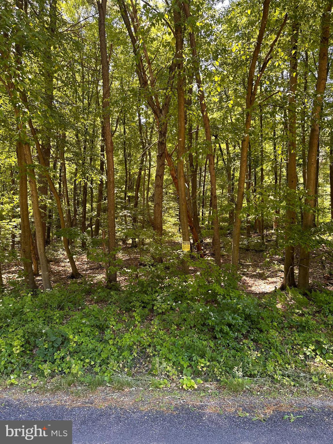 0 Kline Hollow Road Liverpool, PA 17045 - Photo 1 of 7 Gallery Image 1