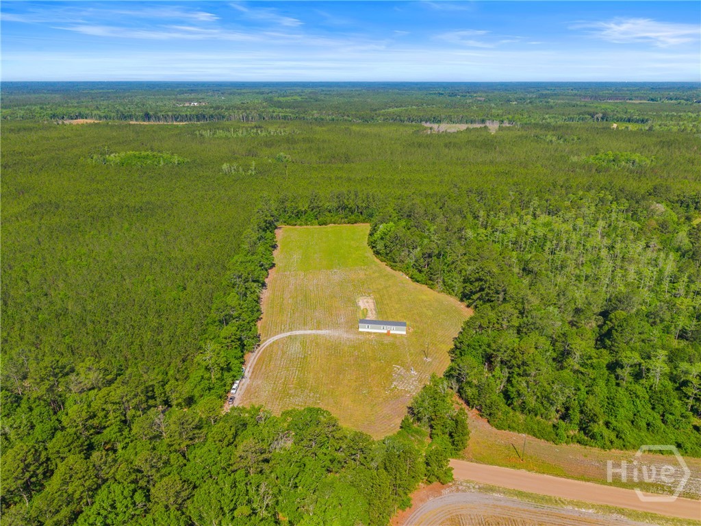 3383 Mill Branch Club Road Pembroke, GA 31321 - Photo 1 of 30