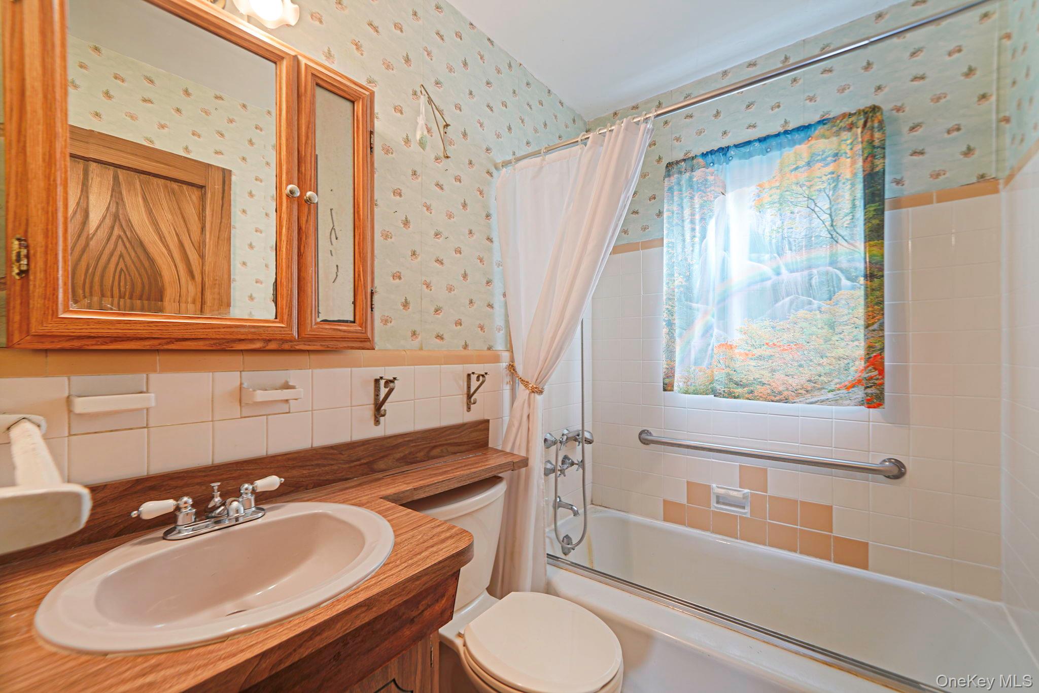 15 Berkshire Road Merrick, NY 11566 - Photo 7 of 11 a bathroom with a sink toilet and shower