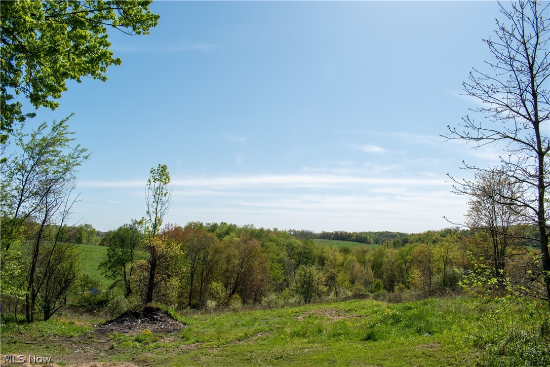 12016 Blue Ridge Road Newcomerstown, OH 43832 - Photo 7 of 21 Gallery Image 7