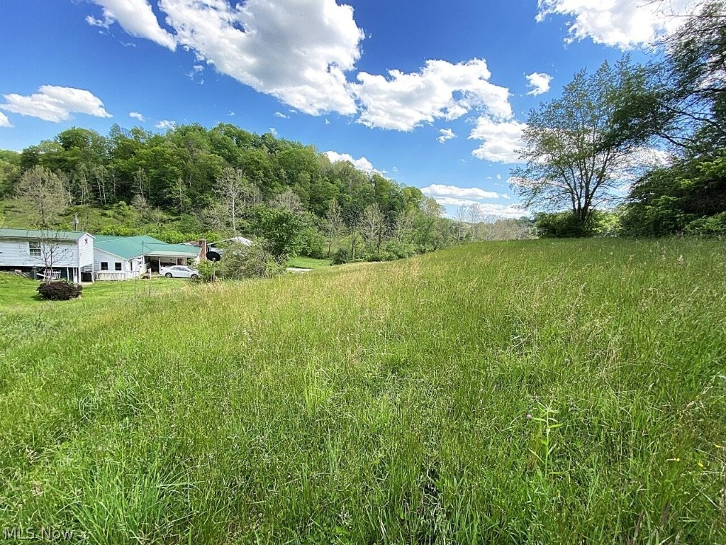 2174 Middle Fork Road Reedy, WV 25270 - Photo 50 of 50