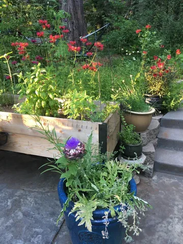 $645,000 | 12716 Red Dog Road, Nevada City, CA 95959