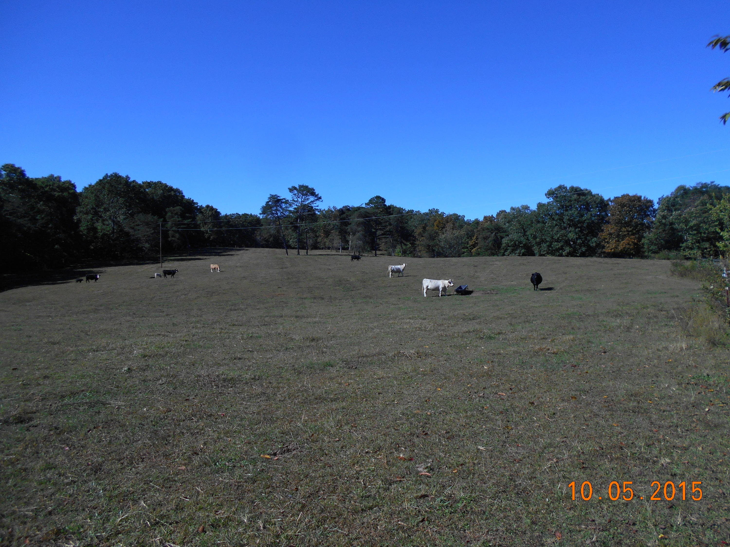 Harding Road Crossville, TN 38572 - Photo 33 of 38 32-Pasture