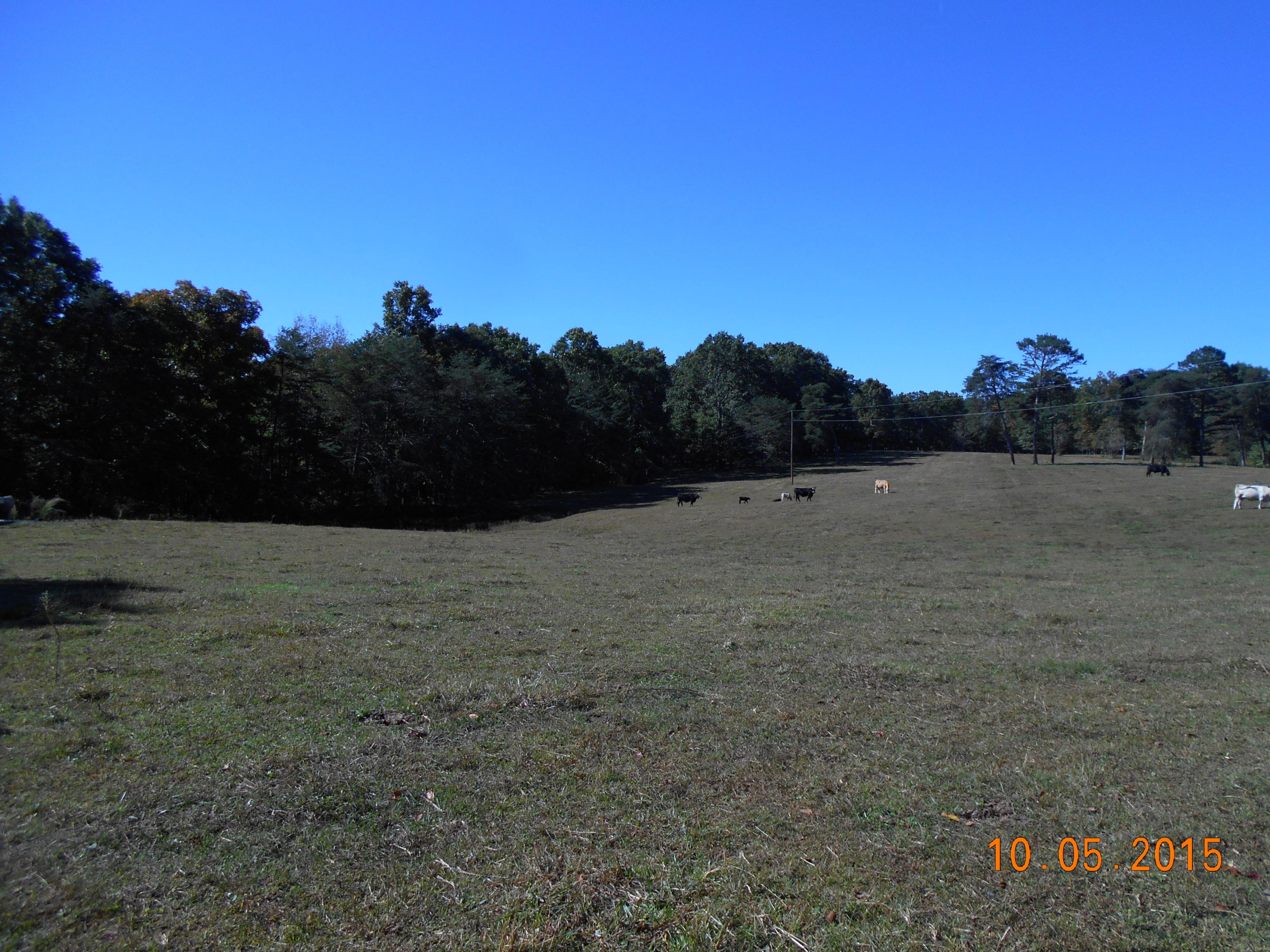 Harding Road Crossville, TN 38572 - Photo 34 of 38 33-Rolling and Level