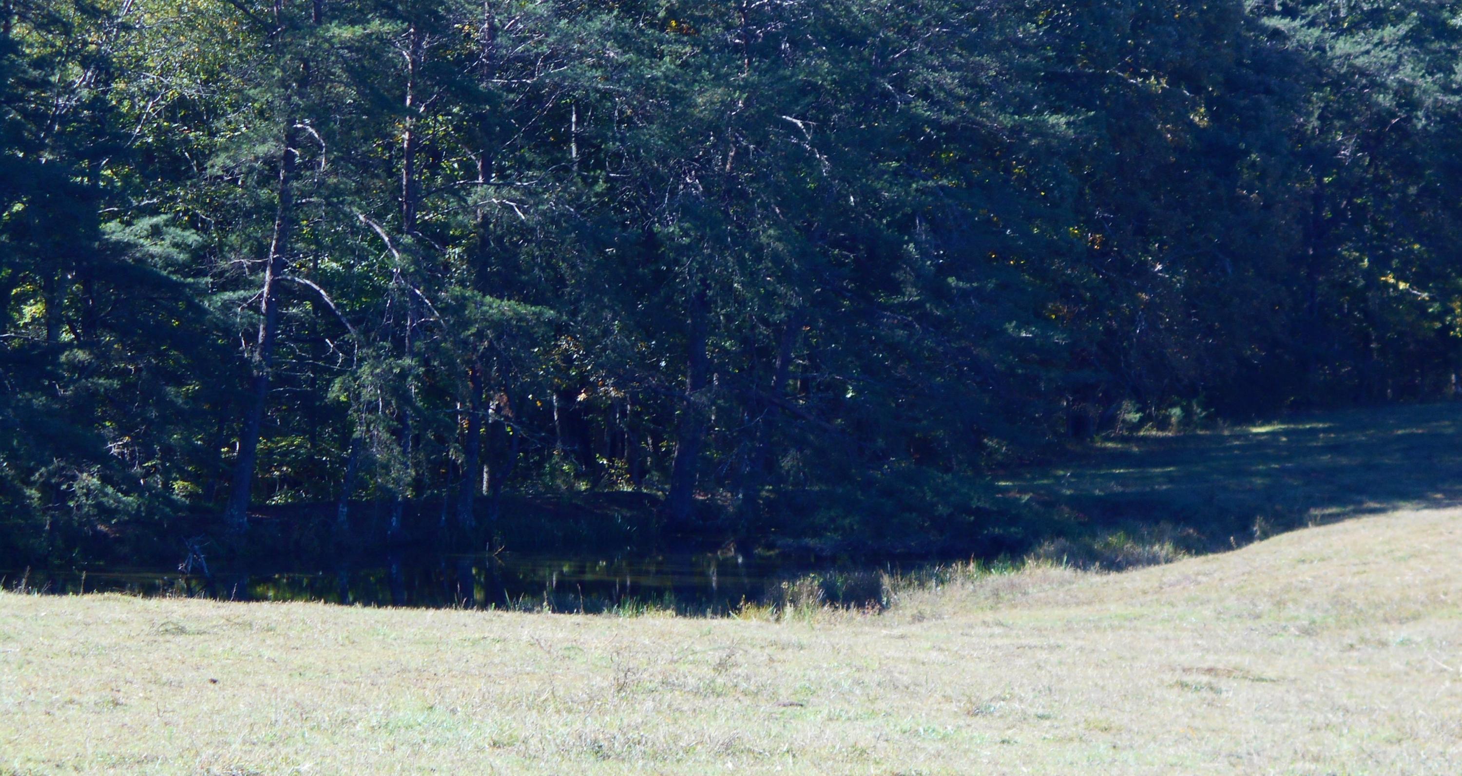 Harding Road Crossville, TN 38572 - Photo 35 of 38 34-Small Pond