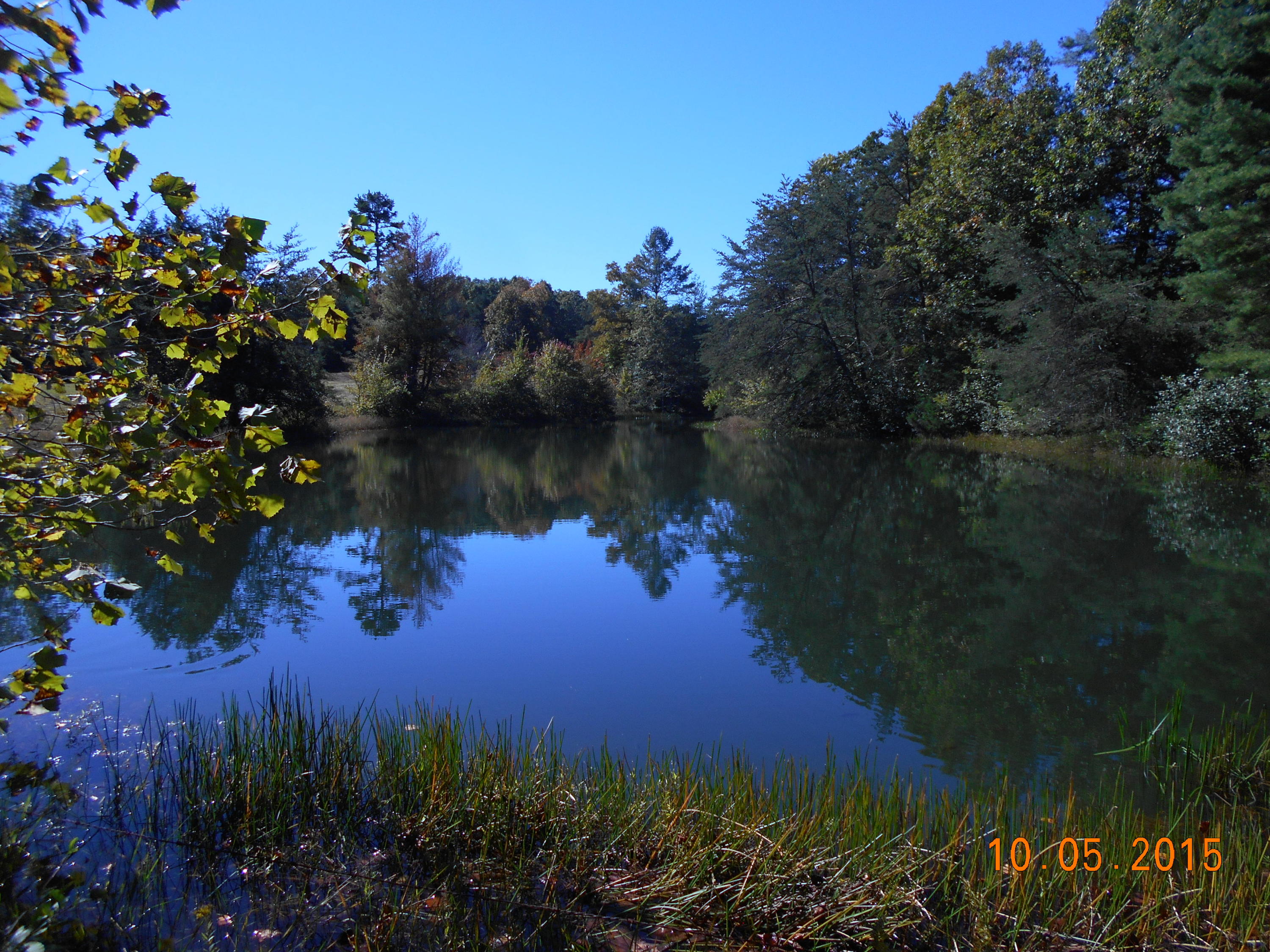 Harding Road Crossville, TN 38572 - Photo 36 of 38 36-Large Pond
