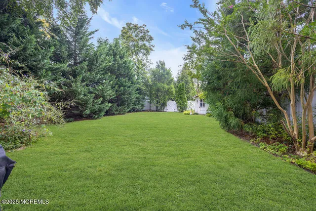 a view of a big yard with large trees