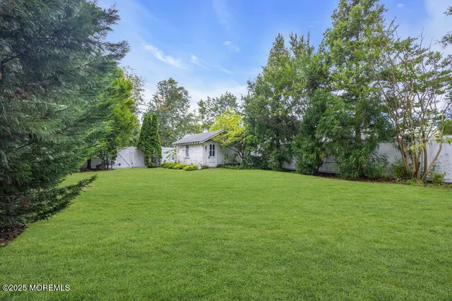 a view of a big yard with plants and large trees
