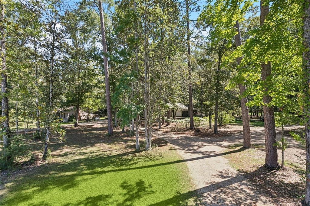 71475 Owl Pen Road Covington, LA 70433 - Photo 13 of 40