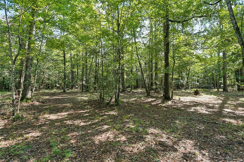 71475 Owl Pen Road Covington, LA 70433 - Photo 33 of 40