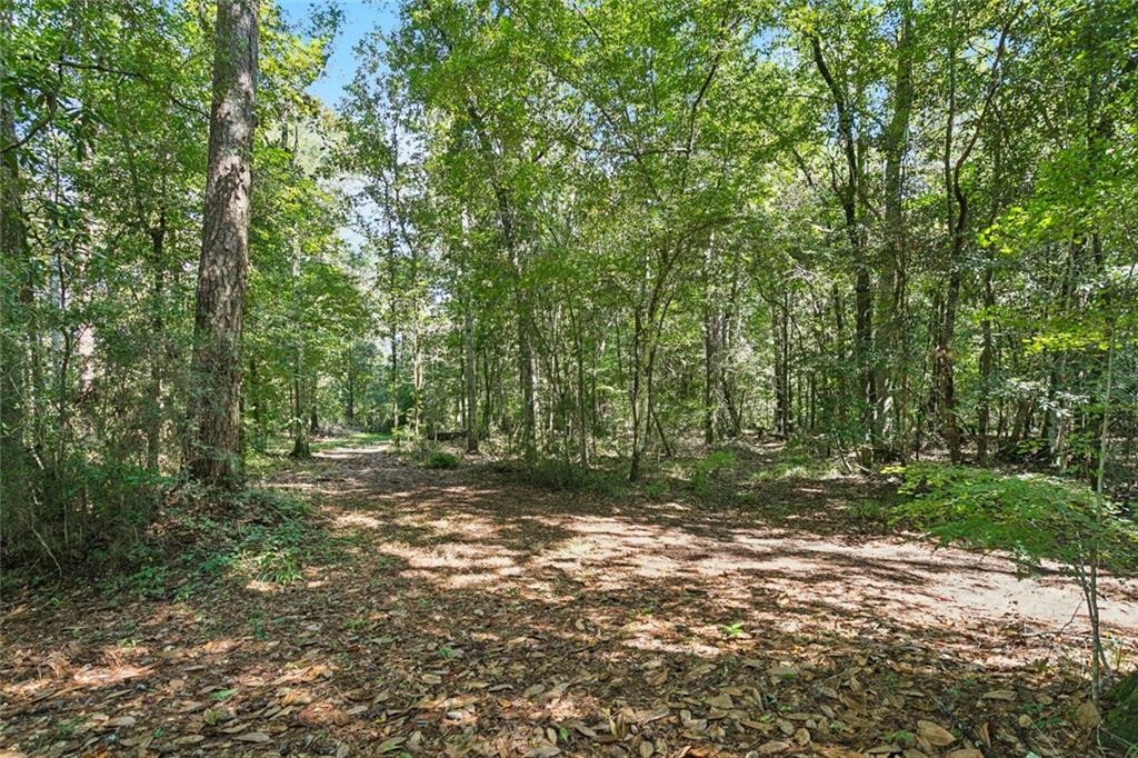 71475 Owl Pen Road Covington, LA 70433 - Photo 38 of 40