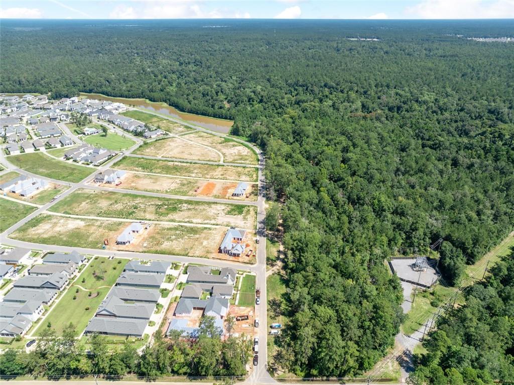 71475 Owl Pen Road Covington, LA 70433 - Photo 9 of 40