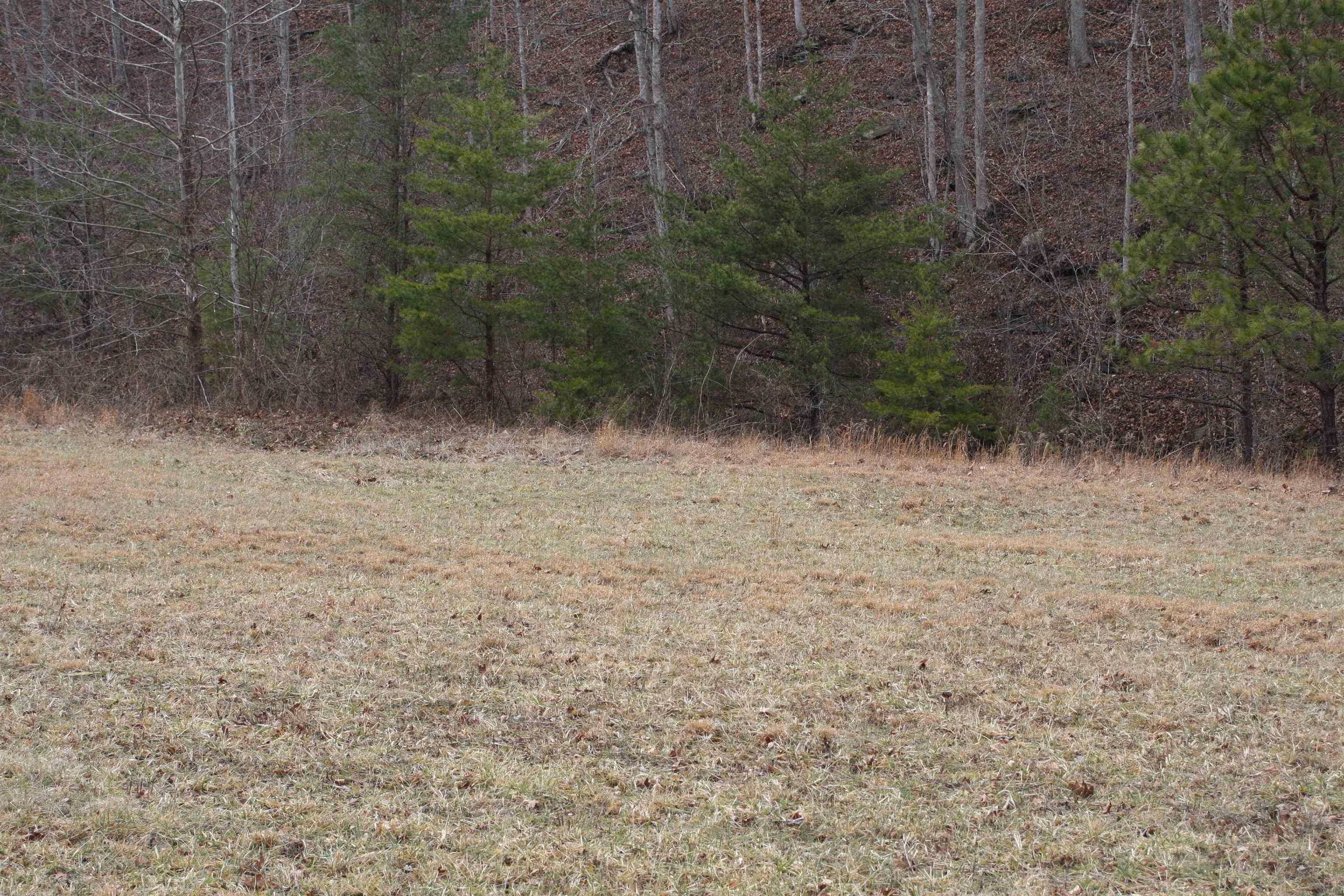 Boone Branch Road Garrison, KY 41141 - Photo 18 of 19