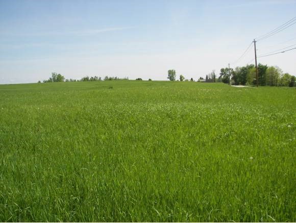 18 Border Road Alburgh, VT 05440 - Photo 1 of 1 Gallery Image 1