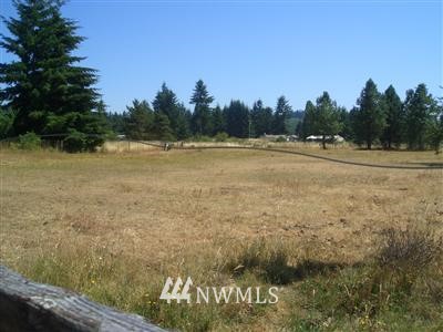 18946 Loganberry Street Southwest Rochester, WA 98579 - Photo 1 of 1