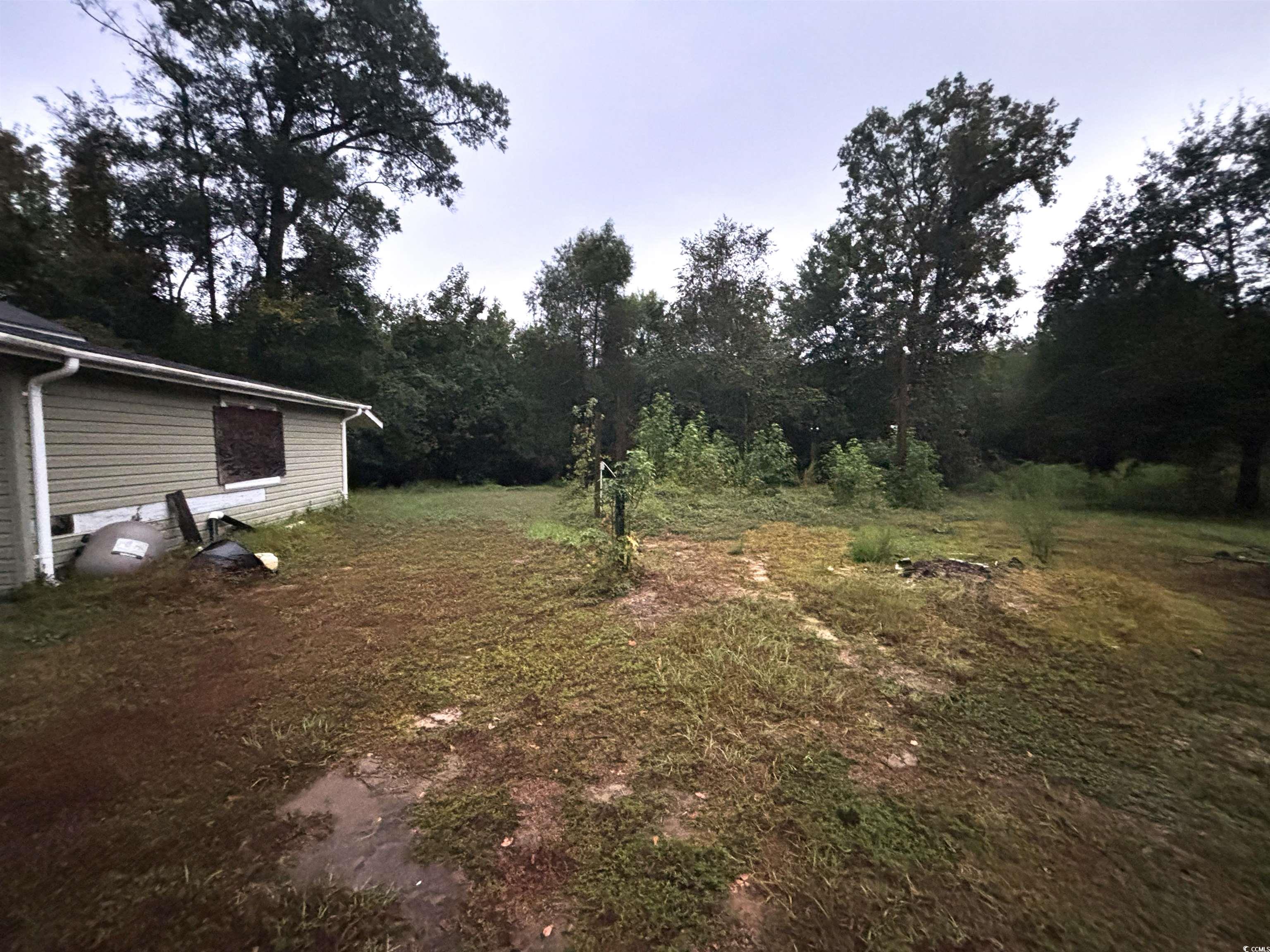 7023 New Bridge Road Nichols, SC 29581 - Photo 7 of 12 Gallery Image 7