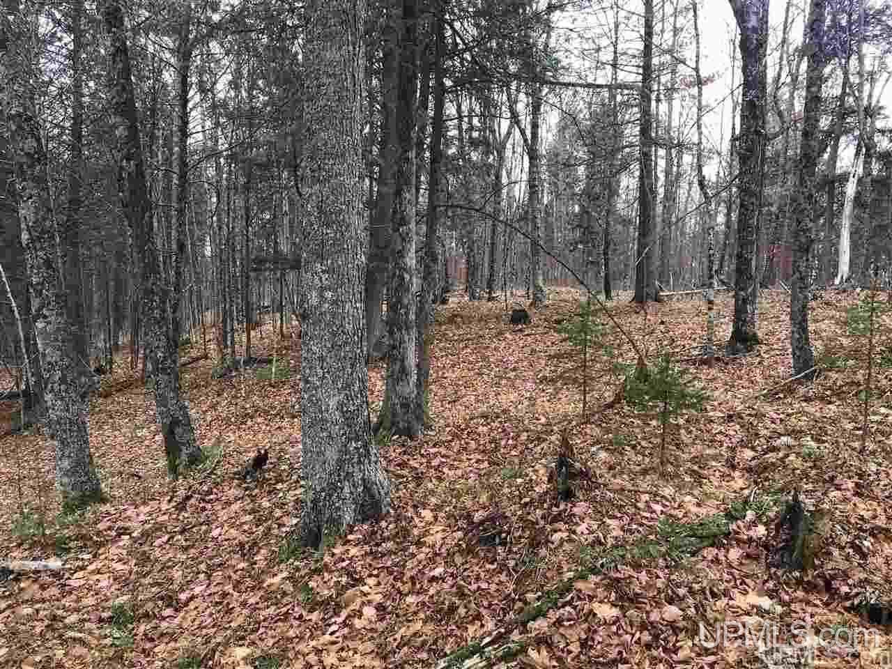 Tbd Off River Road, Unit 2 Hermansville, MI 49847 - Photo 23 of 34