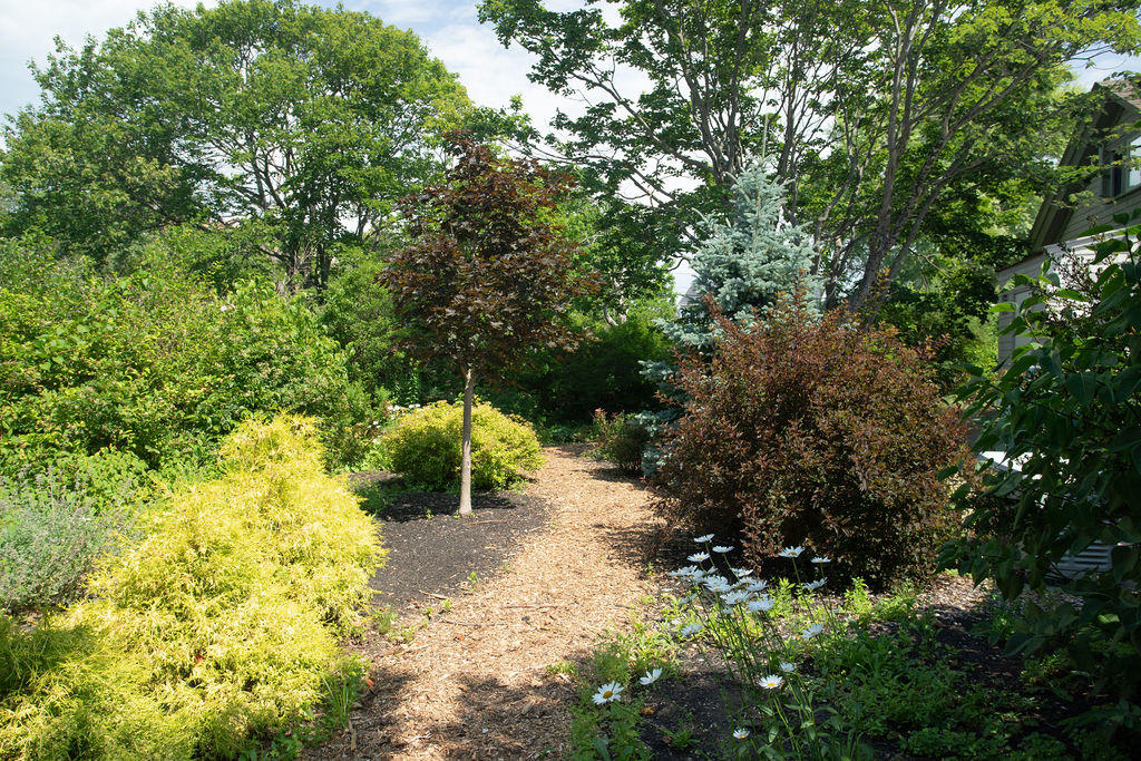 186 Nubble Road York, ME 03909 - Photo 51 of 56 186 Nubble Road