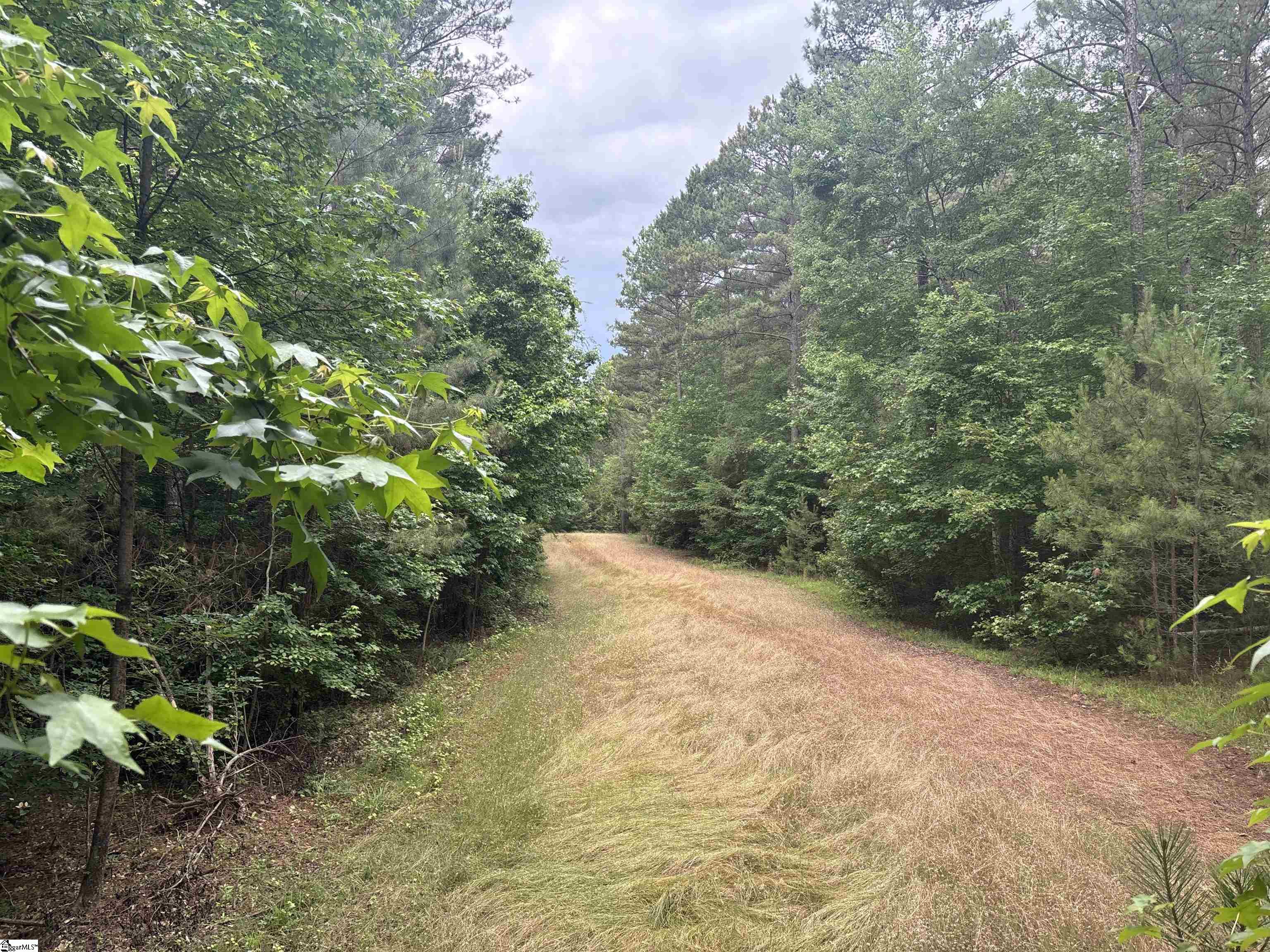 1087 Bobby Faucette Road Jonesville, SC 29353 - Photo 7 of 47