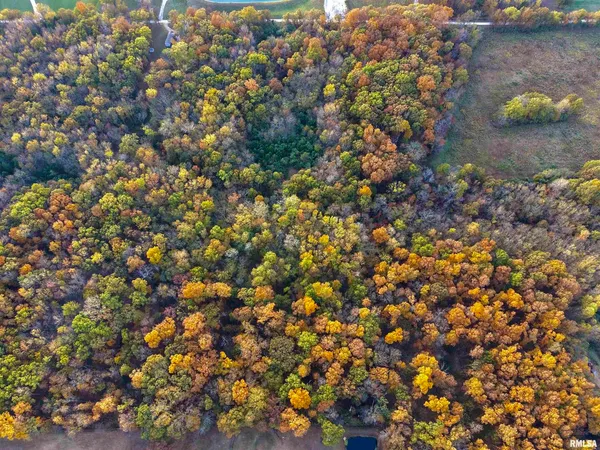 an aerial view of residential house with outdoor space and trees all around