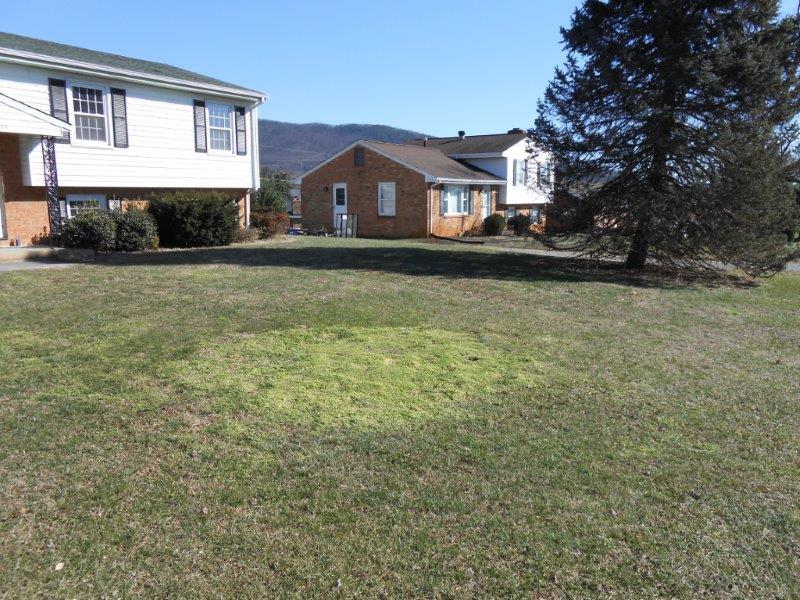 5839 Plantation Road Roanoke, VA 24019 - Photo 21 of 32 front yard