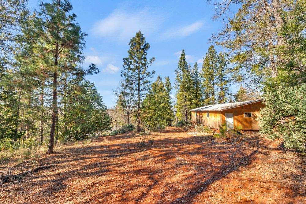 a view of backyard of a house