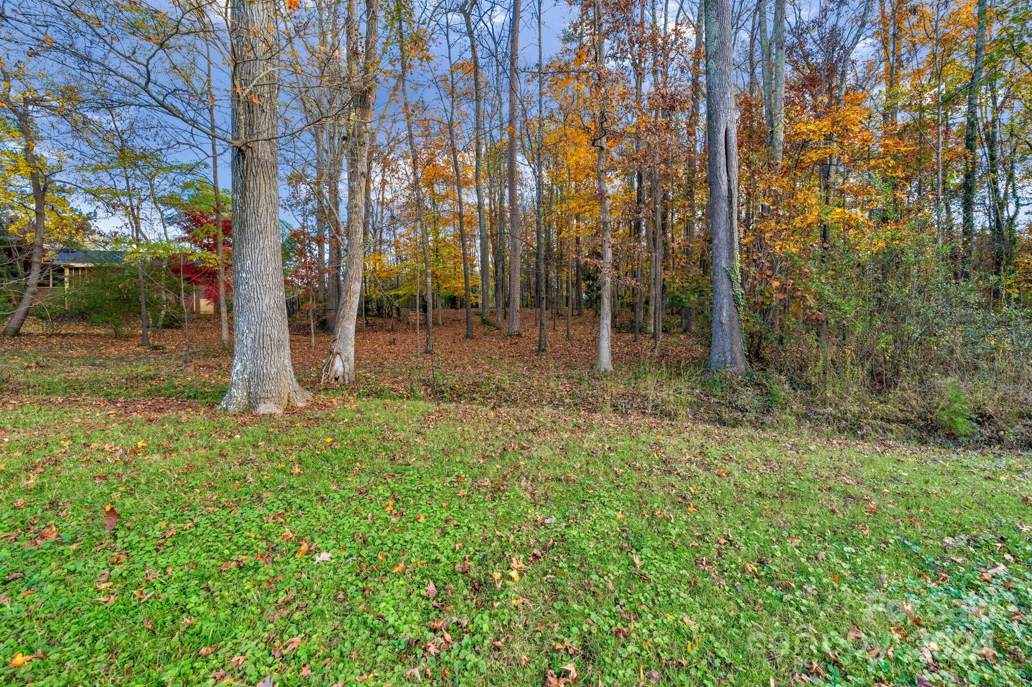3704 Pinecrest Drive Gastonia, NC 28056 - Photo 45 of 48 a view of backyard with green space