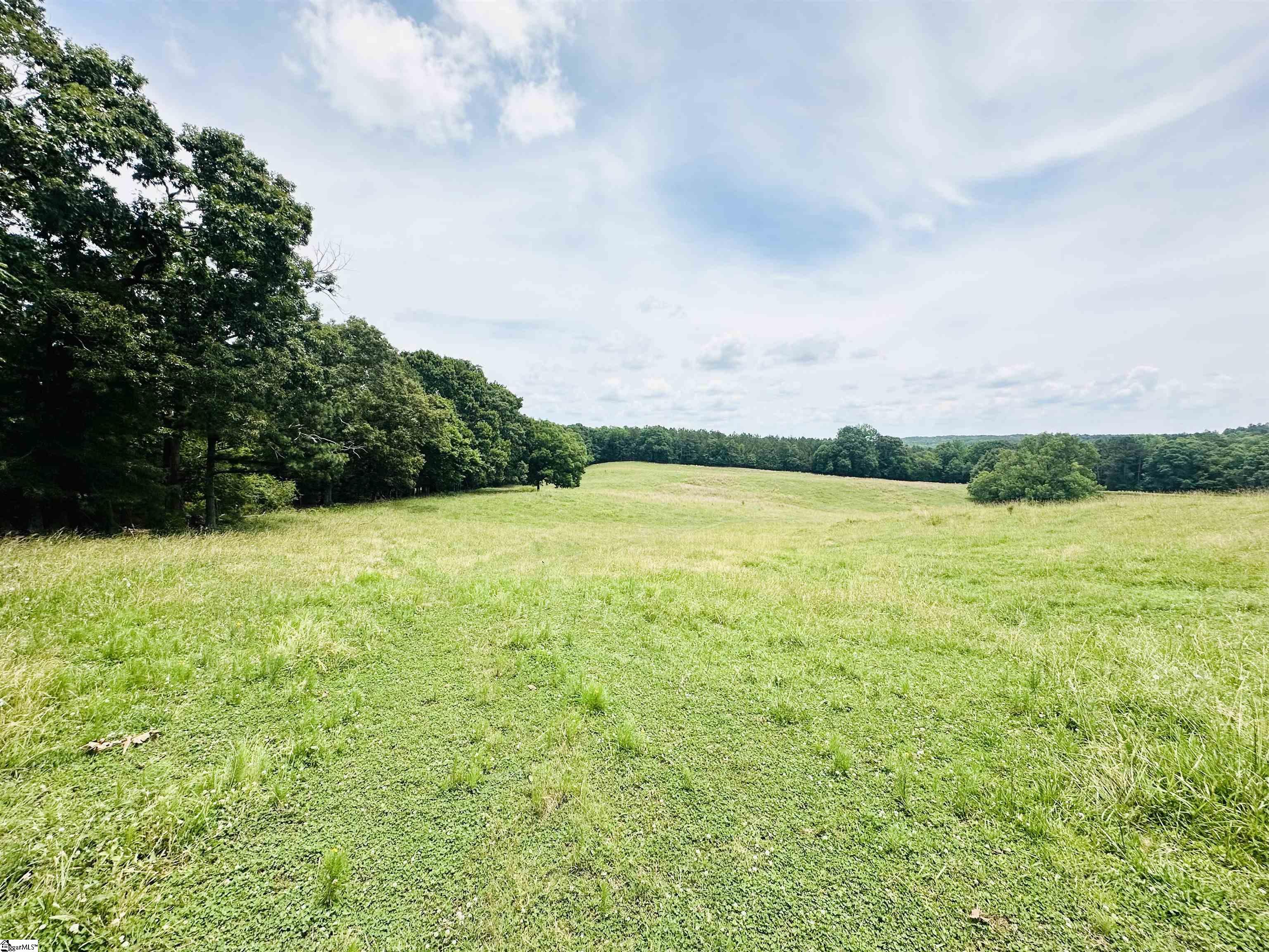 289 Deep Water Road Union, SC 29379 - Photo 46 of 50