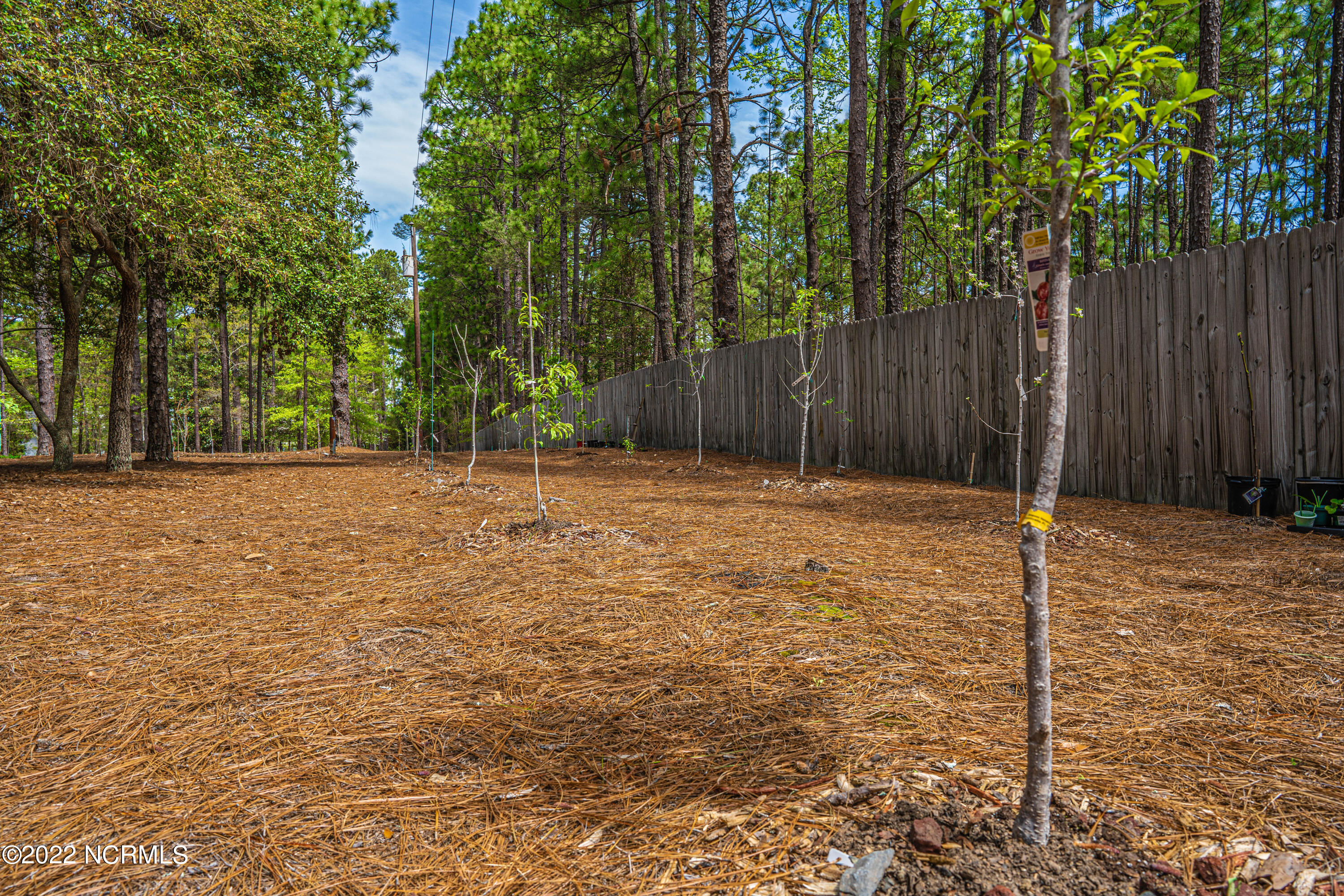 155 Cardinal Road Southern Pines, NC 28387 - Photo 41 of 43 DSC07714