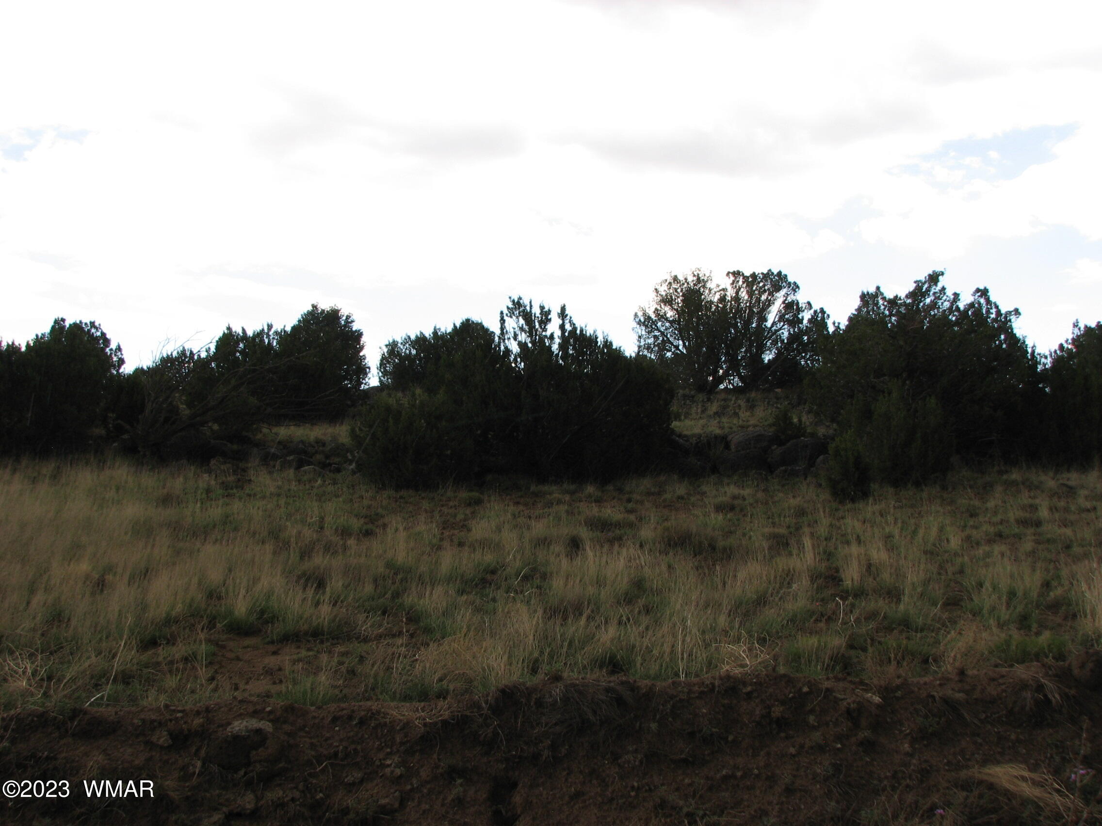 21-23 County Road Concho, AZ 85924 - Photo 4 of 4 a view of a yard