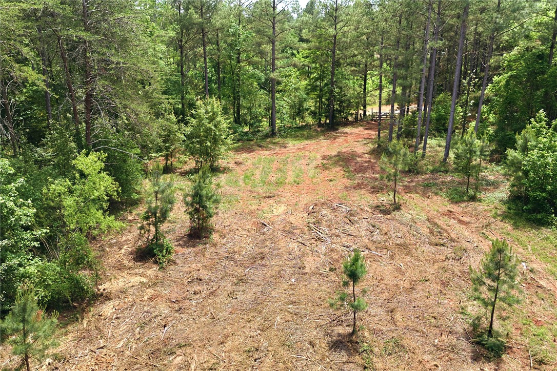 51.3-acres Hall Road Westminster, SC 29693 - Photo 3 of 6
