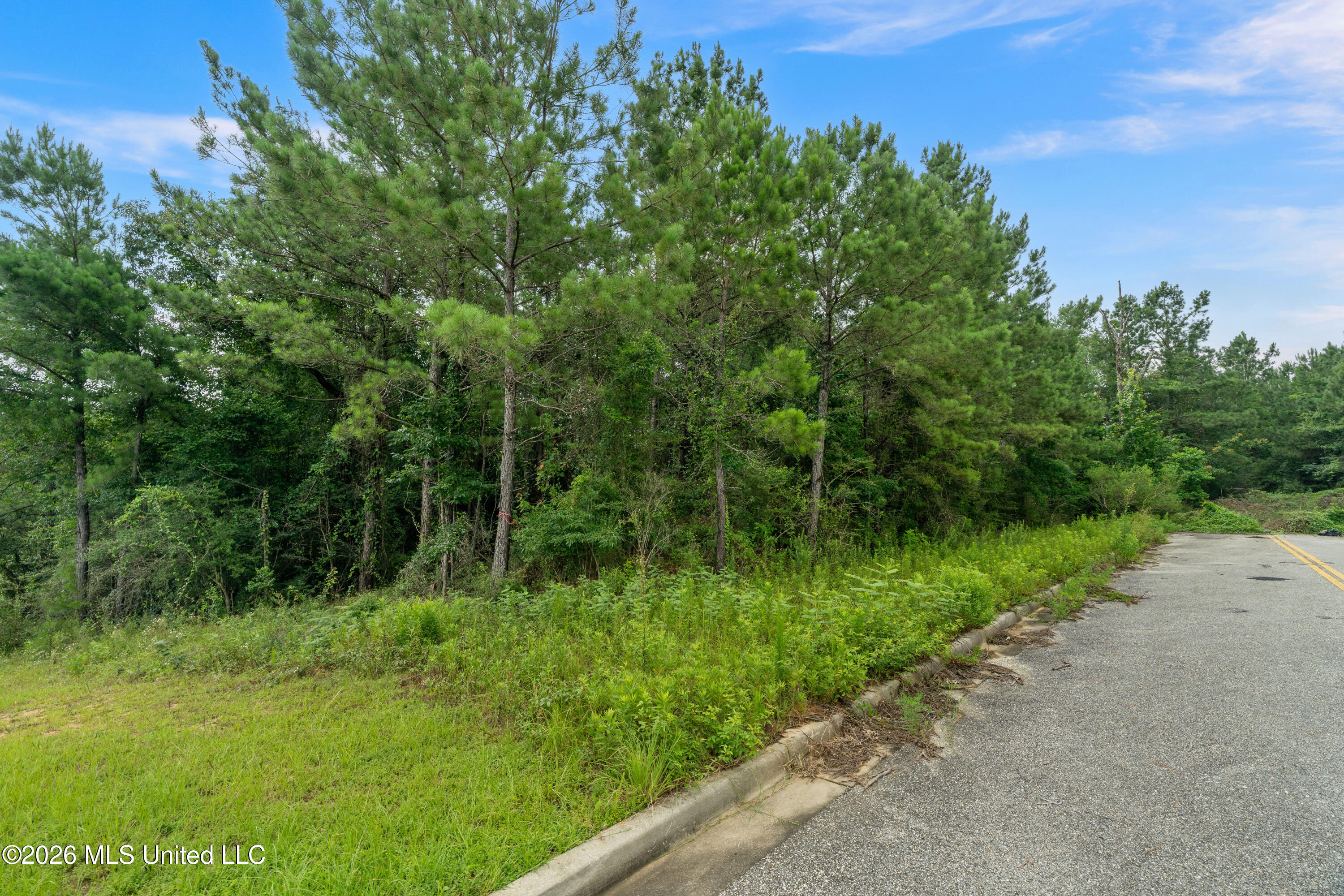 Lincoln Road Hattiesburg, MS 39402 - Photo 7 of 33 00_Lincoln_Rd-6