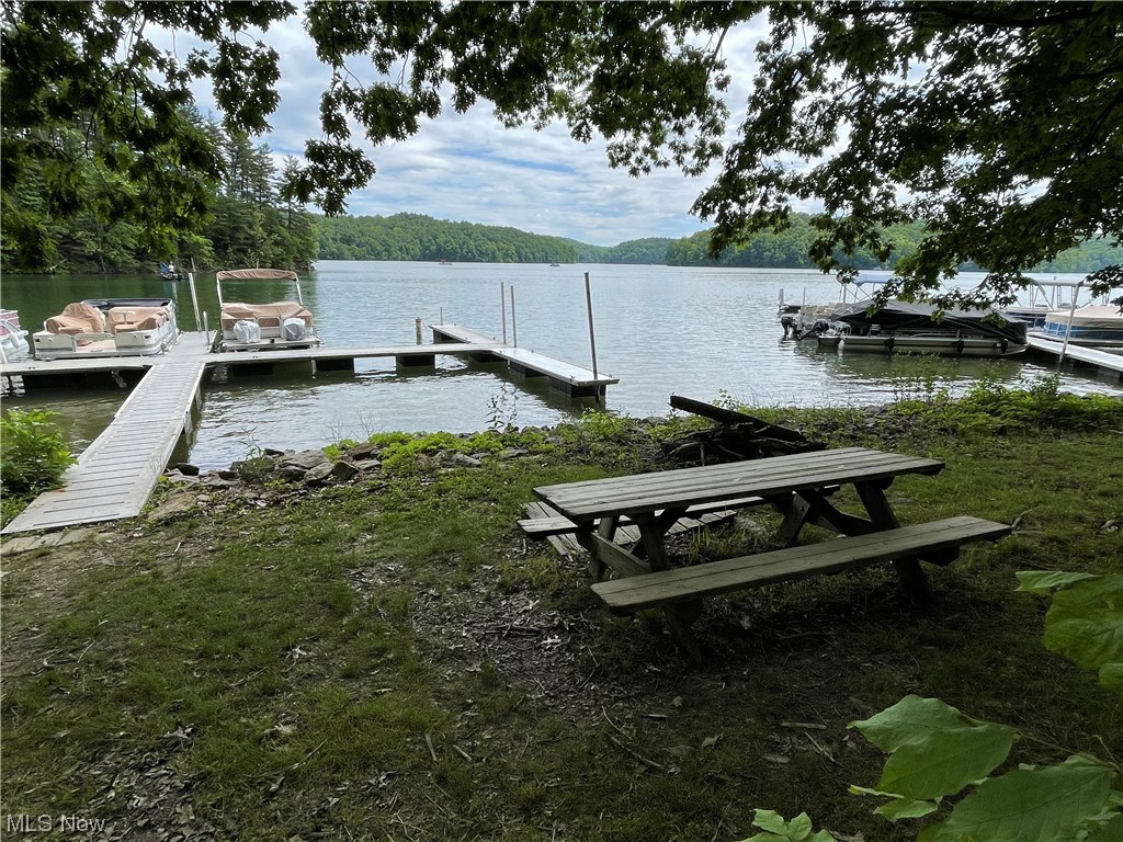 74055 Lake Ridge Road Piedmont, OH 43983 - Photo 4 of 35 Private Docks