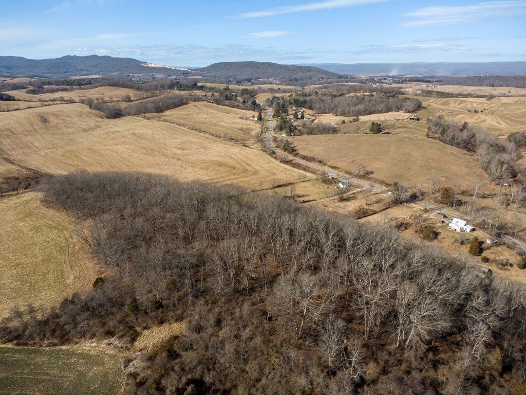 Tbd Fort Chiswell Road Max Meadows, VA 24360 - Photo 13 of 44 Gallery Image 13