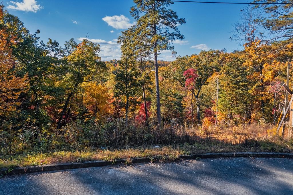 98 Bluff Ridge Road Sevierville, TN 37876 - Photo 1 of 15 Gallery Image 1