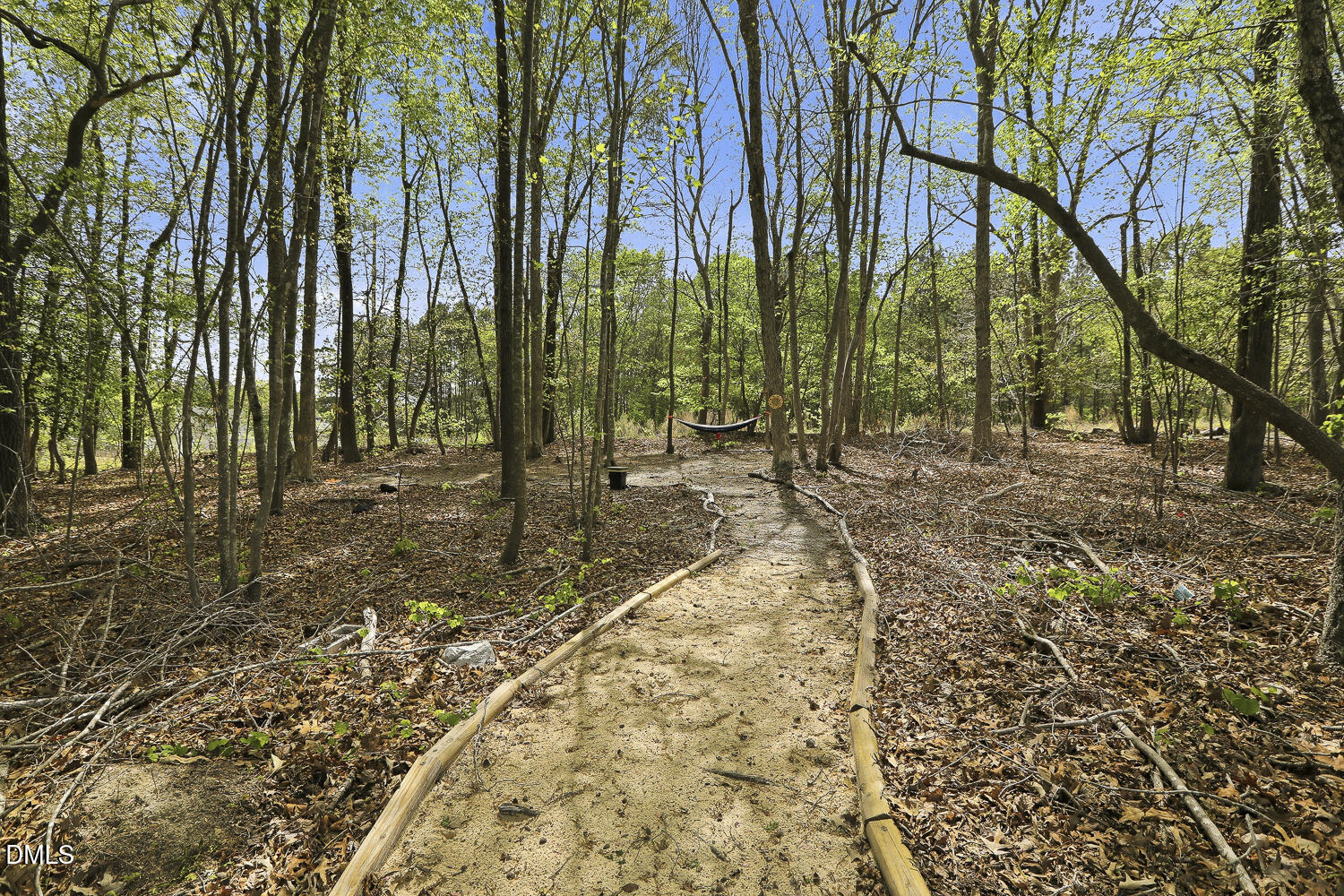 801 Oak Rose Lane Rolesville, NC 27571 - Photo 61 of 70 a view of a yard with plants and trees