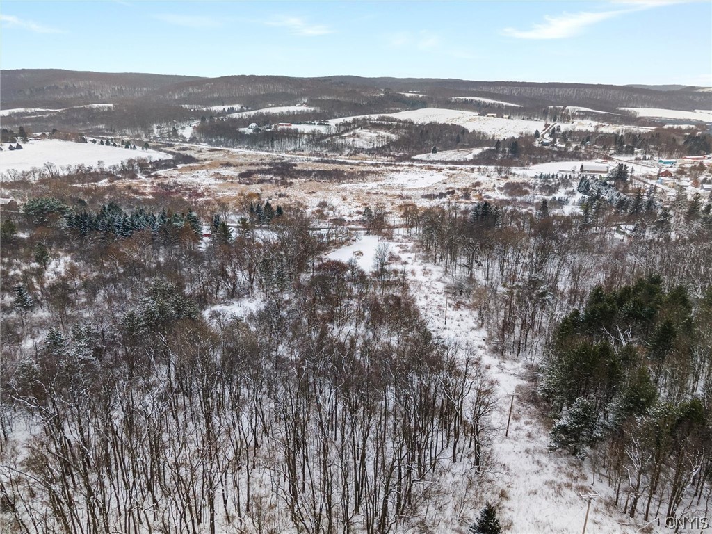 55 Clinton Street Tully, NY 13159 - Photo 31 of 31