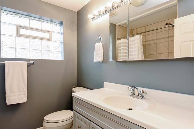 1425 Brummel Street Evanston, IL 60202 - Photo 10 of 24 a bathroom with a sink a toilet and window