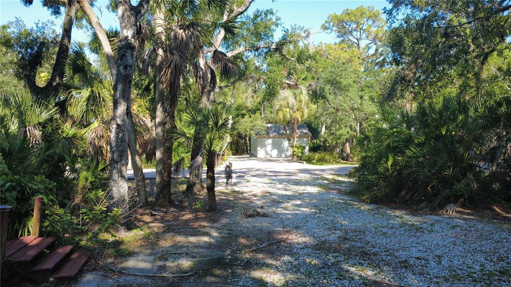 4632 Stone Ridge Trail Sarasota, FL 34232 - Photo 15 of 15 a view of a forest with trees