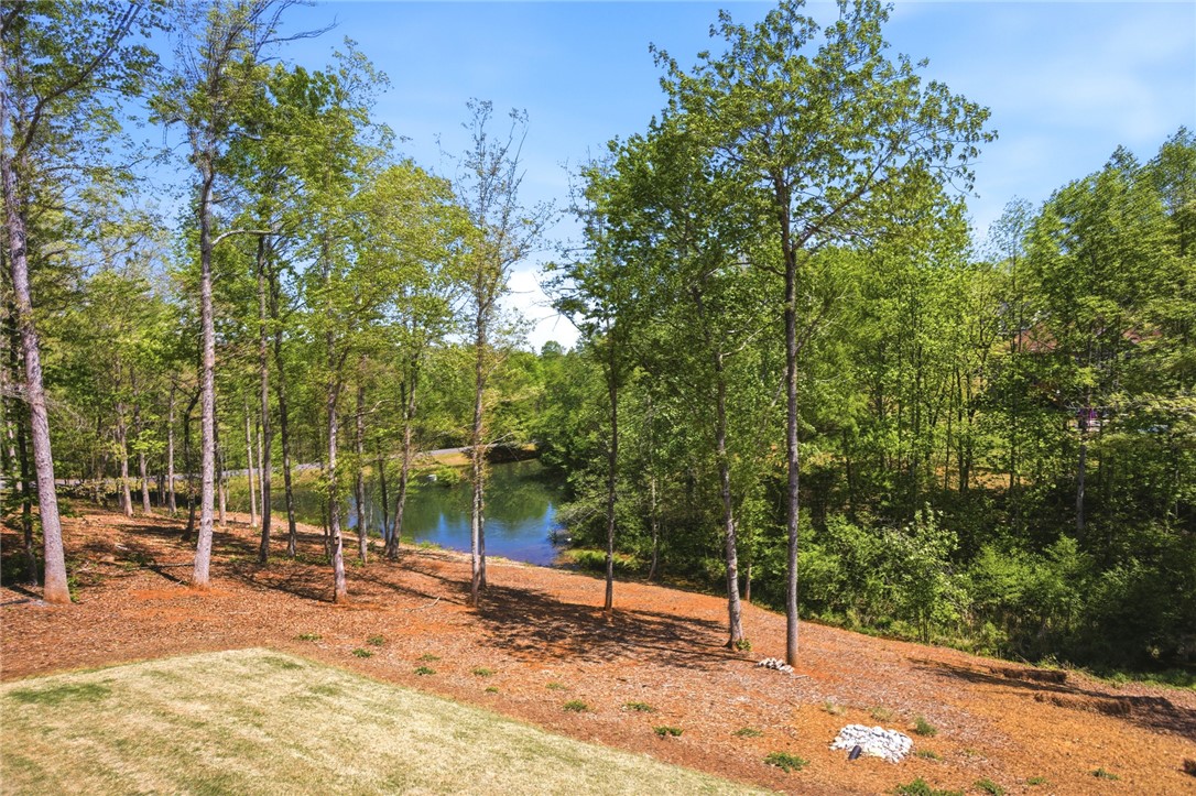 105 Winterbrook Circle Seneca, SC 29678 - Photo 43 of 48