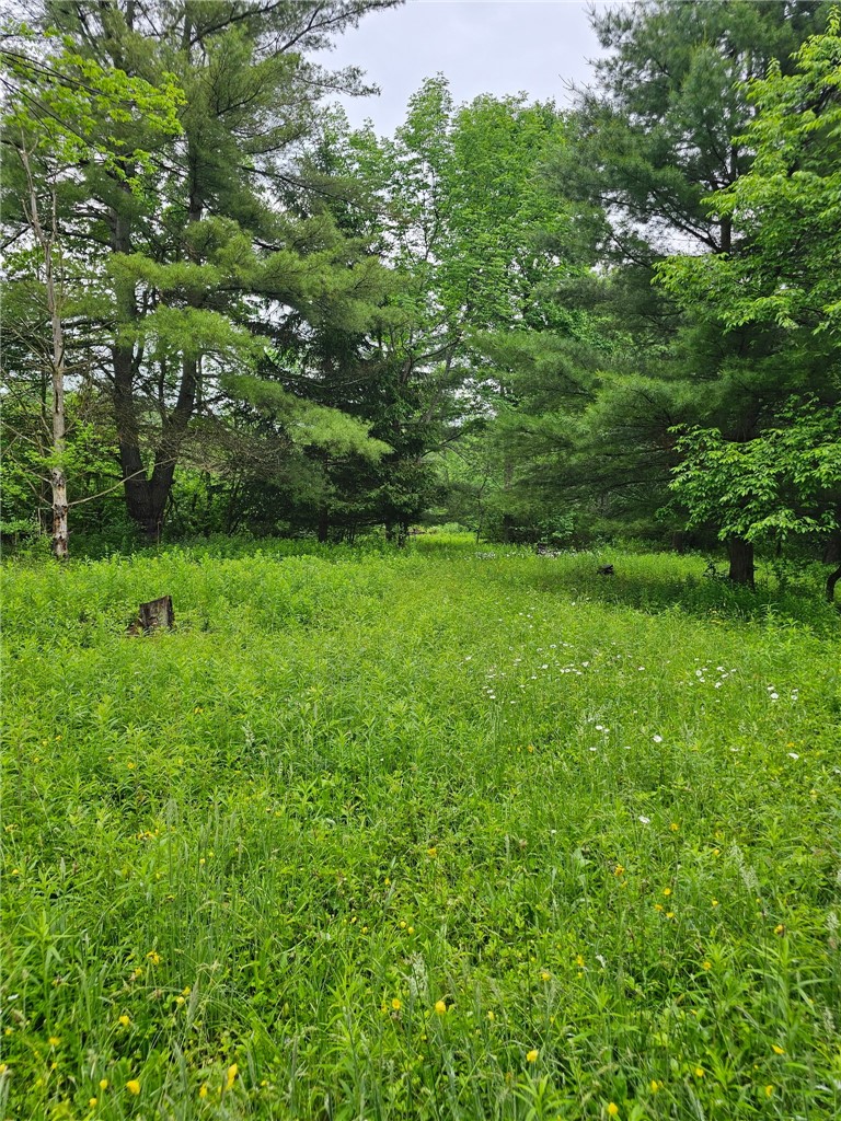 15 Co Road Fillmore, NY 14735 - Photo 22 of 37 Gallery Image 22