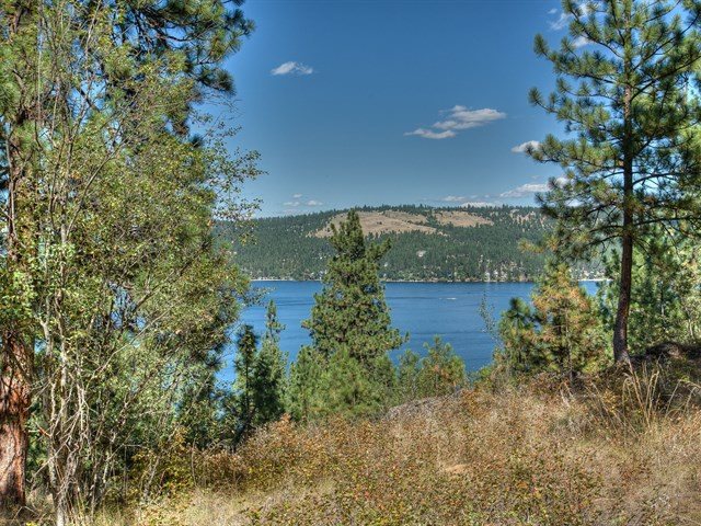 0 South Molter Road Liberty Lake, WA 99019 - Photo 2 of 9 Gallery Image 2