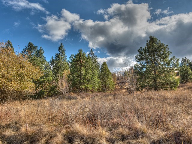 0 South Molter Road Liberty Lake, WA 99019 - Photo 3 of 9 Gallery Image 3