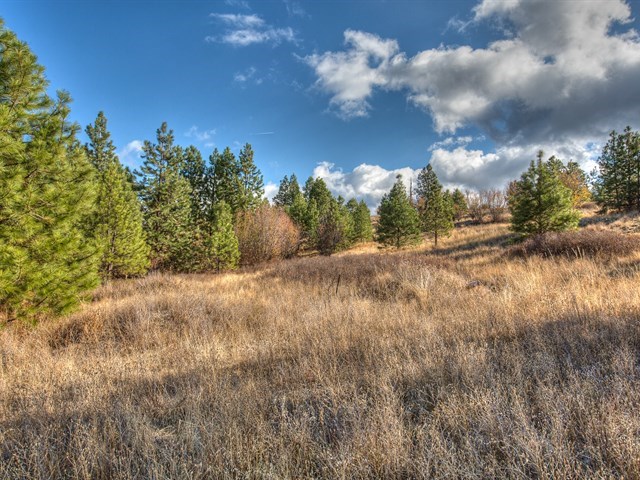 0 South Molter Road Liberty Lake, WA 99019 - Photo 4 of 9 Gallery Image 4