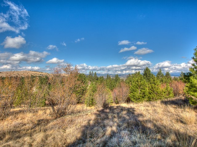 0 South Molter Road Liberty Lake, WA 99019 - Photo 5 of 9 Gallery Image 5