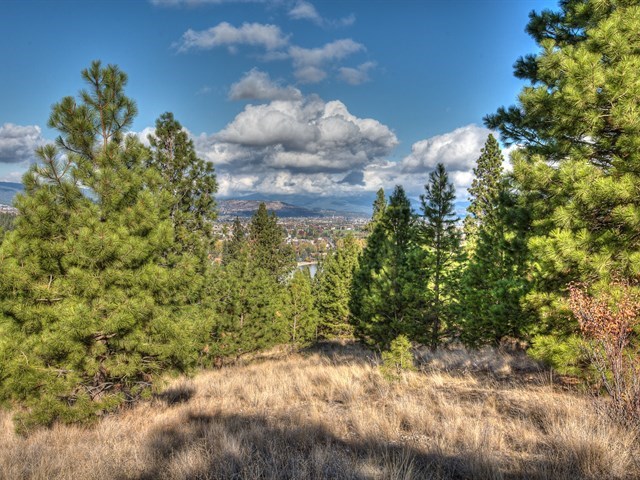 0 South Molter Road Liberty Lake, WA 99019 - Photo 7 of 9 Gallery Image 7